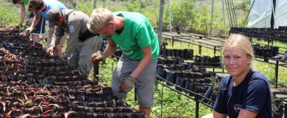 Volunteers work in the Galapagos Greenhouse on the Conservation Project Projects Abroad Volunteers work in the Galapagos Greenhouse on the Conservation Project